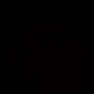 Meet your Posher, Deondre